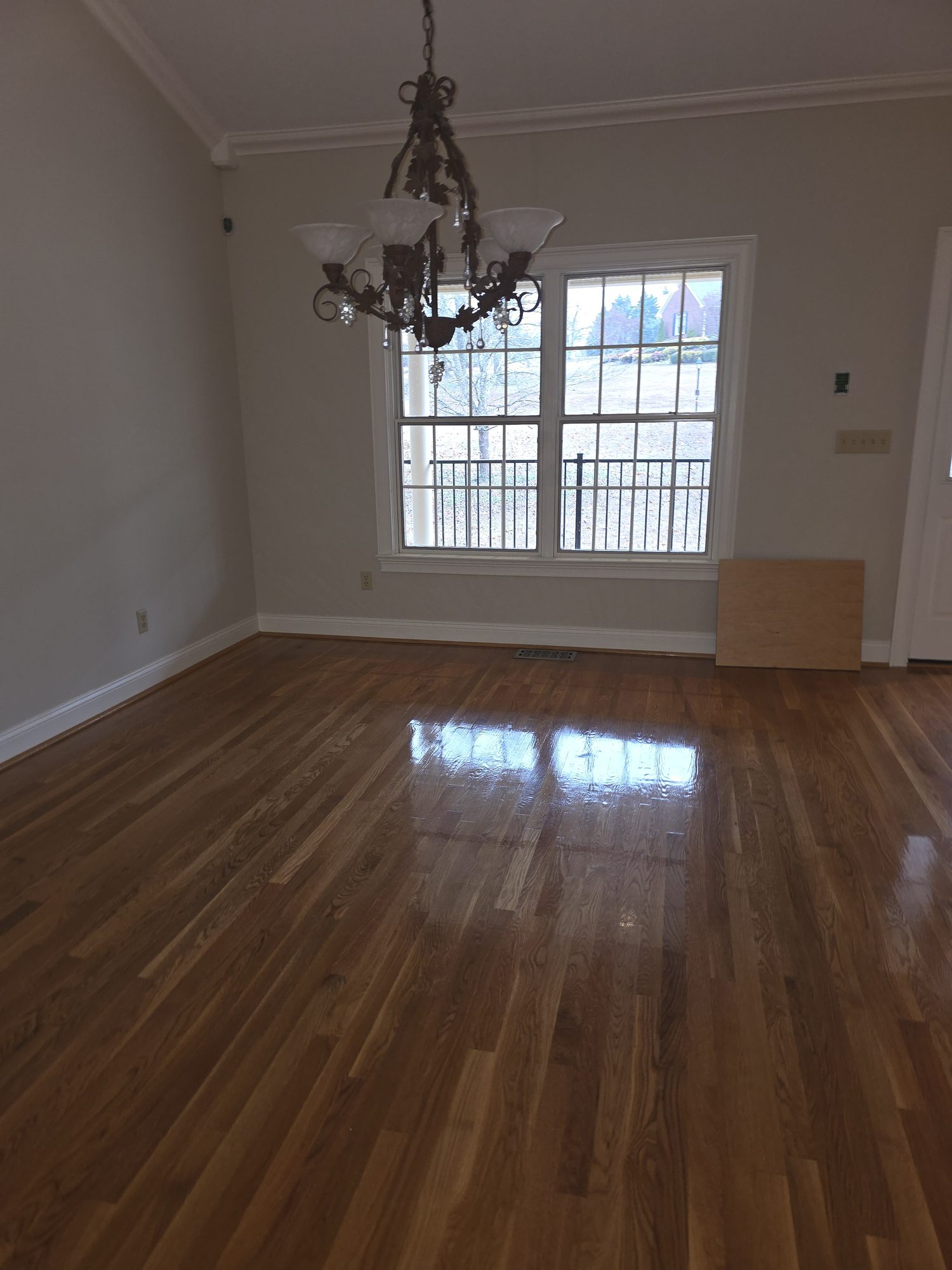 Small business and office cleaning